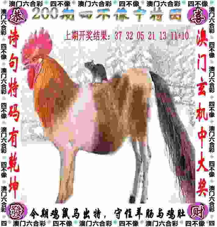 >2025年新奥正版免费_五点来料